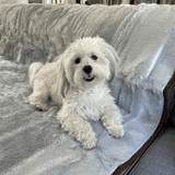 PupProtector™ Summer Short Fur Waterproof Throw Blanket - Grey