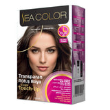 Sea Color Gray Root Touch Up Spray Light Brown 75ml