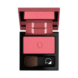 Diego Dalla Palma Powder Blush 22 Silky Velvety Finish