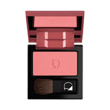 Diego Dalla Palma Powder Blush 24 for Silky Cheeks