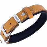 Doggie Comfort Leather Dog Collar Camel for Small Breeds 45cm