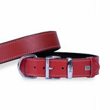 Doggie Comfort Leather Dog Collar Red Large Breed 65cm