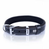 Doggie Royal Blue Leather Dog Collar Comfort Design 25-30cm