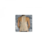 Dorse Lumbar Support Corset for Lower Back Stability 1 pc