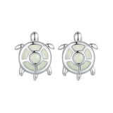 925 Sterling Silver Luminous Stone Earrings