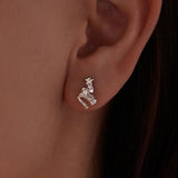 925 Sterling Silver Earrings with White Gold Plating and CZ