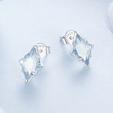 925 Sterling Silver Earrings with Transparent Glass and White Gold Plating