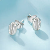 925 Sterling Silver Earrings for Women