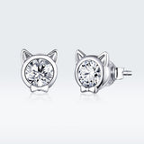 925 Sterling Silver Plated Platinum CZ Earrings for Women