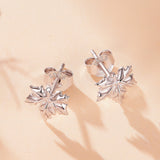 925 Sterling Silver Earrings for Women