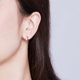 S925 Sterling SilverCZ Earrings for Women