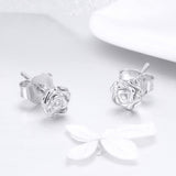 925 Sterling Silver Earrings for Women