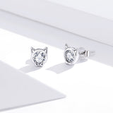 925 Sterling Silver Plated Platinum CZ Earrings for Women