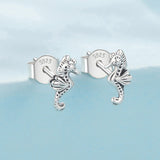 925 Sterling Silver Earrings for Women