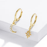 925 Sterling Silver Earrings with Pavé Setting CZ for Women