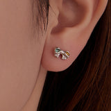 925 Sterling Silver Earrings with Transparent Glass and CZ for Women
