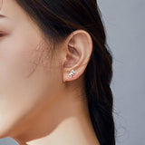 S925 Sterling Silver Earrings for Women