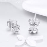 925 Sterling Silver Earrings for Women