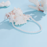 925 Sterling Silver White Gold Plated 39-45.5cm Quality Shell Pearl Necklace for Women