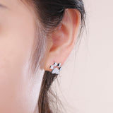 925 Sterling Silver Platinum Plated Earrings for Women