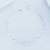 925 Sterling Silver White Gold Plated Necklace with Shell Pearl 400+50mm