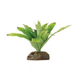 Exo Terra Silk Neoregelia Terrarium Plant for Natural Habitats