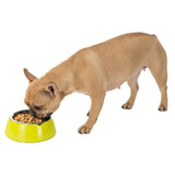 Ferplast Jolie Stainless Steel Pet Bowl for Cats & Dogs 500 ml
