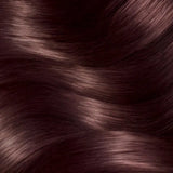 Garnier Color Sensation Permanent Hair Dye 4.15 Icy Chestnut