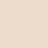 Astra Fluid Concealer Serum 02 Light-Mid 4ml