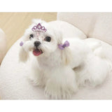 M-Pets Glam Crown and Bow Accessory Set for Cats and Dogs Purple