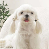M-Pets Glam Stone and Pearl Pet Hair Accessory Black & Grey
