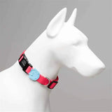 Lindo Bubble Dog Collar Stylish Adjustable Small 30-44cm
