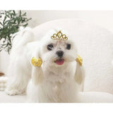 M-Pets Glam Yellow Crown and Bow Accessory for Cats and Dogs