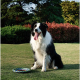 M-Pets Sprintpuff Flying Disc Dog Toy for Active Play