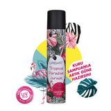 Urban Care Volumizing Tropical Dry Shampoo for Oily Hair - 6.76 fl oz, Quick Refresh, Oil Absorbing