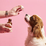 Kito Skin & Coat Dog Multivitamin for Shiny Fur 50 ml