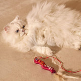 Kito Worm Plush Cat Toy Interactive Hunting Play 1 pc
