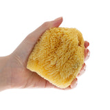 Babyjem Natural Sea Sponge for Gentle Baby Skin Care - Hypoallergenic & Organic Bathing Solution