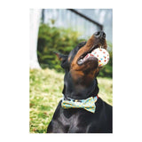 M-Pets Bloom Ball Durable E-TPU Dog Toy 7 cm