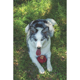 M-Pets Coto Red Ball Braided Cotton Dog Toy 9.5 cm