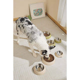 M-Pets Eco Bamboo Small Pet Bowl with Stainless Steel Insert 190 ml