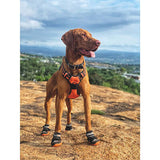 M-Pets Hiking Dog Shoes All-Weather Paw Protection Medium