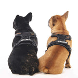 M-Pets Hiking Soft Reflective Dog Harness Orange Size M