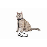 M-Pets Letsgo Cat Harness and Leash Set Black 30-42 cm