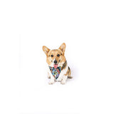 M-Pets Urban Style Freestyle Dog Bandana Eco-Friendly Small 13x33cm