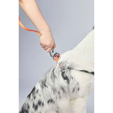 M-Pets Wild Jungle Dog Leash Orange Pattern L-XL 2x120cm