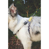 M-Pets Wild Safari Dog Leash Ergonomic Grip Yellow 120cm