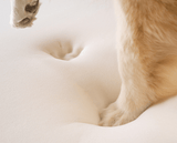 PupRug by Paw.com® Faux Fur Orthopedic Dog Bed - Curve Brown