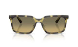 Michael Kors MK2282U Olive Tortoise Rectangle Sunglasses 55mm