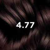Phyto PhytoColor 4.77 Intense Chestnut Copper Hair Dye 2-Pack